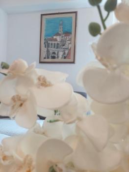 Old Town Split Apartment VJERA, Split (photo 4)