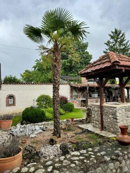 orman villa, Skopje (photo 4)