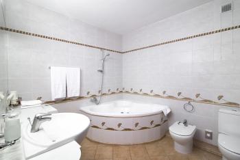 Hotel Violeta, Druskininkai (foto 5)