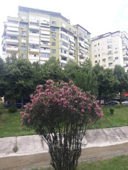 Dani's Apartment, Tirana (photo 3)
