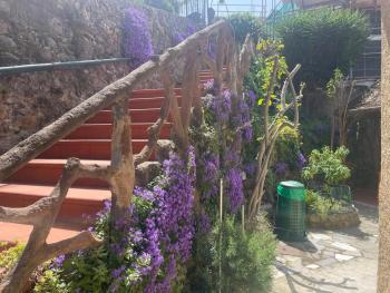 Villa indipendente con giardino, Genova (photo 2)