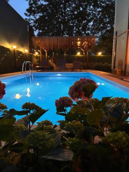 Villa Five Star, Sapanca (foto 5)