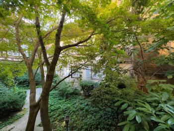 La Petite Cour - Atypique, calme et cozy, Strasburgo (foto 5)