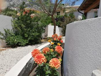 Blue Trane, Cala Gonone (Foto 5)