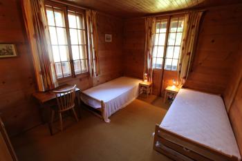 Arnica 1, Chateau-d'Oex (fotografie 5)