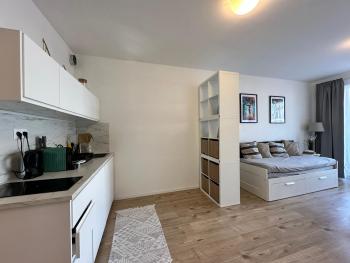 Slnecnice, flexibilny pristup, Bratislava (Foto 3)