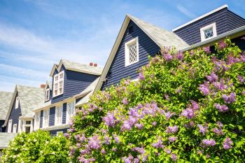 Cleftstone Inn, Bar Harbor (fotografie 5)