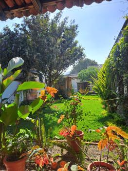 Jardín de Stela Hotel, Antigua Guatemala (foto 2)