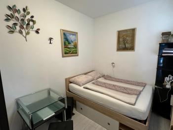 Leptir, Zagabria (foto 3)
