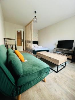 Porte Du Soleil - Cosy Studio Centre, Straßburg (Foto 3)