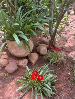 Lovely flat in nice garden, Rabat (fotografie 4)