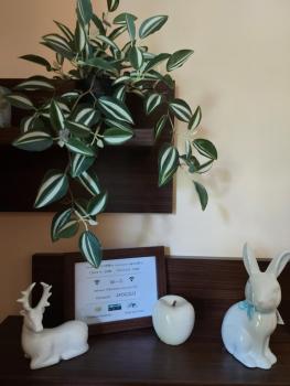 Terra complex -D6 - Balkan private apartment-Spa Sking Golf and Relax, Razlog (foto 3)