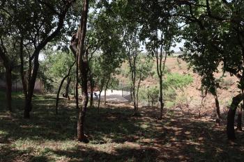 Themi View, Arusha (foto 5)