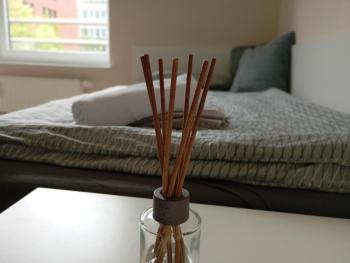 Studio Suite near University, Bremen (photo 2)