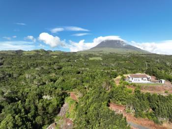 PicoTerrace, Madalena (Foto 5)