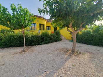 Countryside Studios, Agia Effimia (foto 4)