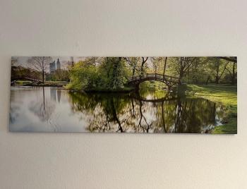 Direkt an der Arena, Waldstraße, Lipsko (fotografie 5)