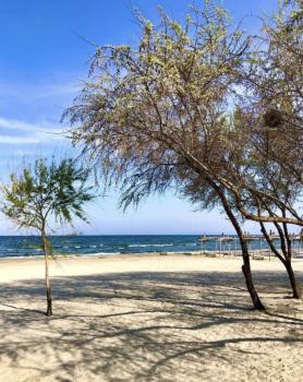 Casa Servus Junior, Mamaia Nord - Năvodari (foto 5)