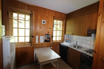 Arnica 2, Château-d'Oex (foto 5)