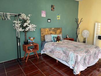 Bambú mayan, Cancún (fotografie 5)