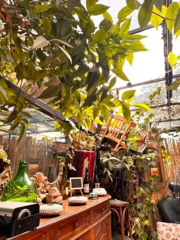 Divina Hostel, Tirana (photo 5)