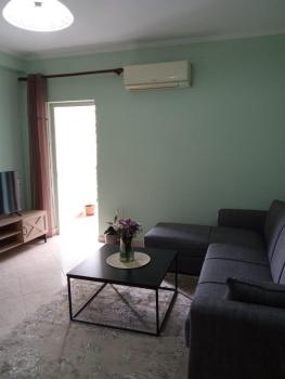 Bevis apartment, Tirana (photo 2)