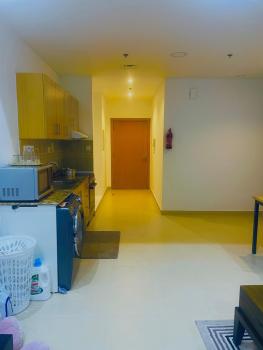 Emirates apartment, Dubai (photo 4)