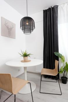 Modern & Cozy Studio with Balcony, Roşu (photo 3)