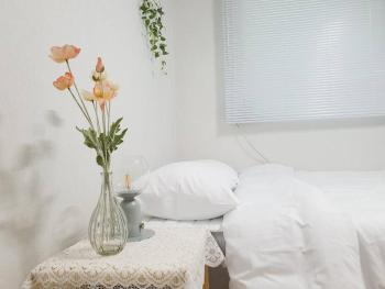Seoul House, Soul (fotografie 2)
