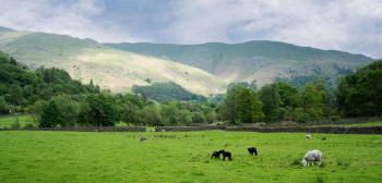 Panoramic Views & Spacious Living by LetMeStay, Grasmere (foto 5)