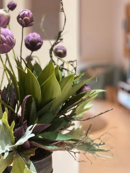 Petite Fleur, Preveza (fotografie 5)