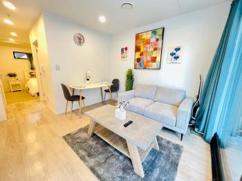 Beautiful studio in Union Street, Auckland (photo 2)