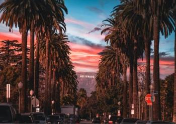 Spacious Hollywood Home Sunset View-Free Parking 10mins to Universal Studios, Los Angeles (photo 3)