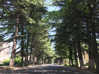 Квартира с видом на природу, Dilidschan (Foto 3)