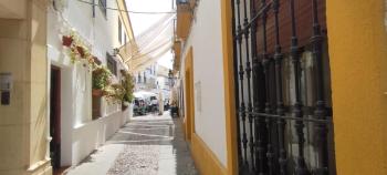 Zahra - Terraza Centro Cordoba, Córdoba (foto 4)