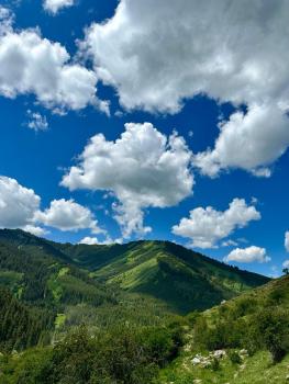 Горный дом ЛЕС и ГОРЫ Dinarsky, Karakol (fotografie 5)