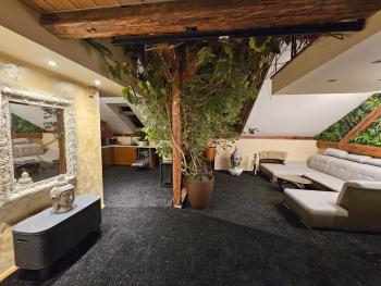 Studio 69 - Old town, 125m2, free parking, best view, Bratislava (fotografie 5)