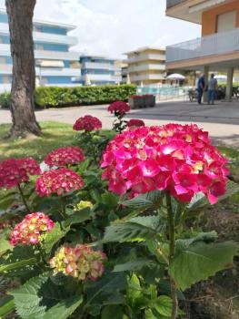 Valbella, Bibione (Foto 2)