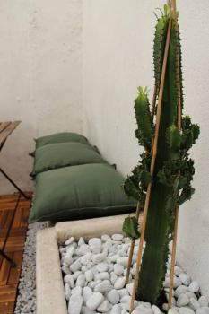 Le Cactus - Appartement avec terrasse, Marseille (photo 2)