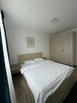 Comfort & Luxury Apartaments PNMresidence, Timişoara (photo 5)
