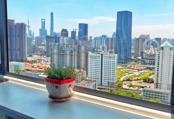 大世界, Shanghai (photo 3)
