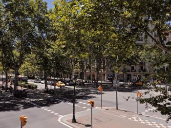 Barcelona Central Park II, Barcelona (fotografie 2)