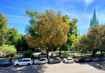 Quiet & Park View - Ulm Mitte, Ulm (photo 3)