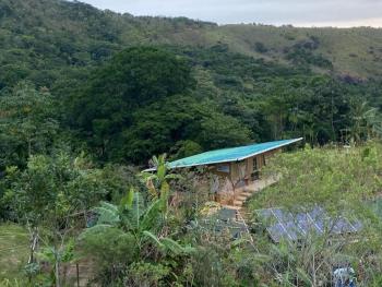 Camping, Ilhabela (fotografie 3)