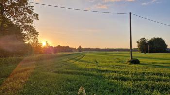 Ķēniņi, Gaidēns (фото 2)