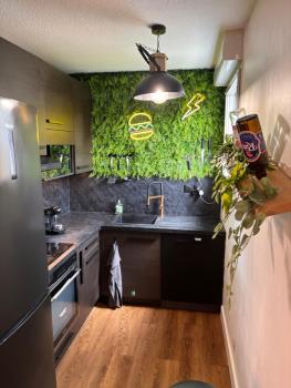 Charmant appartement Toulouse, Toulouse (foto 2)