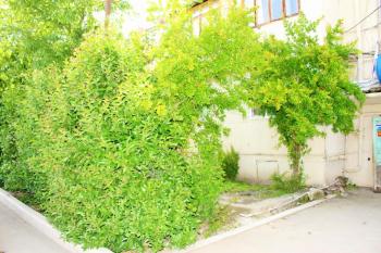 Ailə evi, Ganja (foto 3)