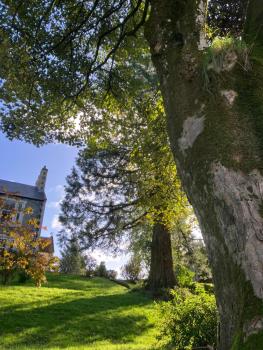 Above & Beyond at Warriston Lodge, Moffat (Foto 5)