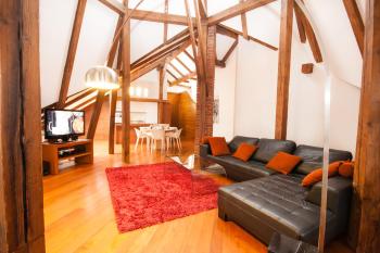 Luxury Loft, Praha (fotografie 4)