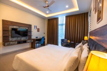 Aotel by Clarks Inn Palampur, Palampur (photo 4)